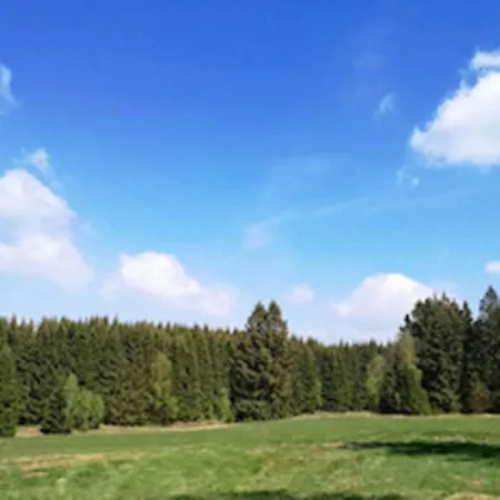 Lovely In Near Forest *